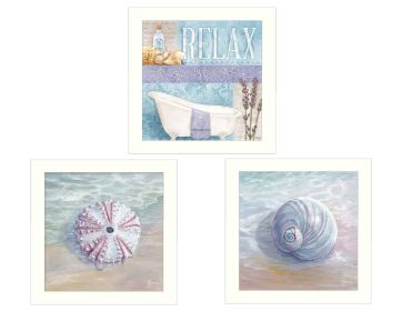 "Shells I Collection" 3-Piece Vignette By Mollie B. and G. Janisse, Printed Wall Art, Ready To Hang Framed Poster, White Frame