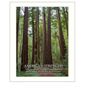 "American Strength" By Trendy Decor4U, Printed Wall Art, Ready To Hang Framed Poster, White Frame