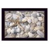 "Starfish and Seashell" By Lori Deiter, Printed Wall Art, Ready To Hang Framed Poster, Black Frame